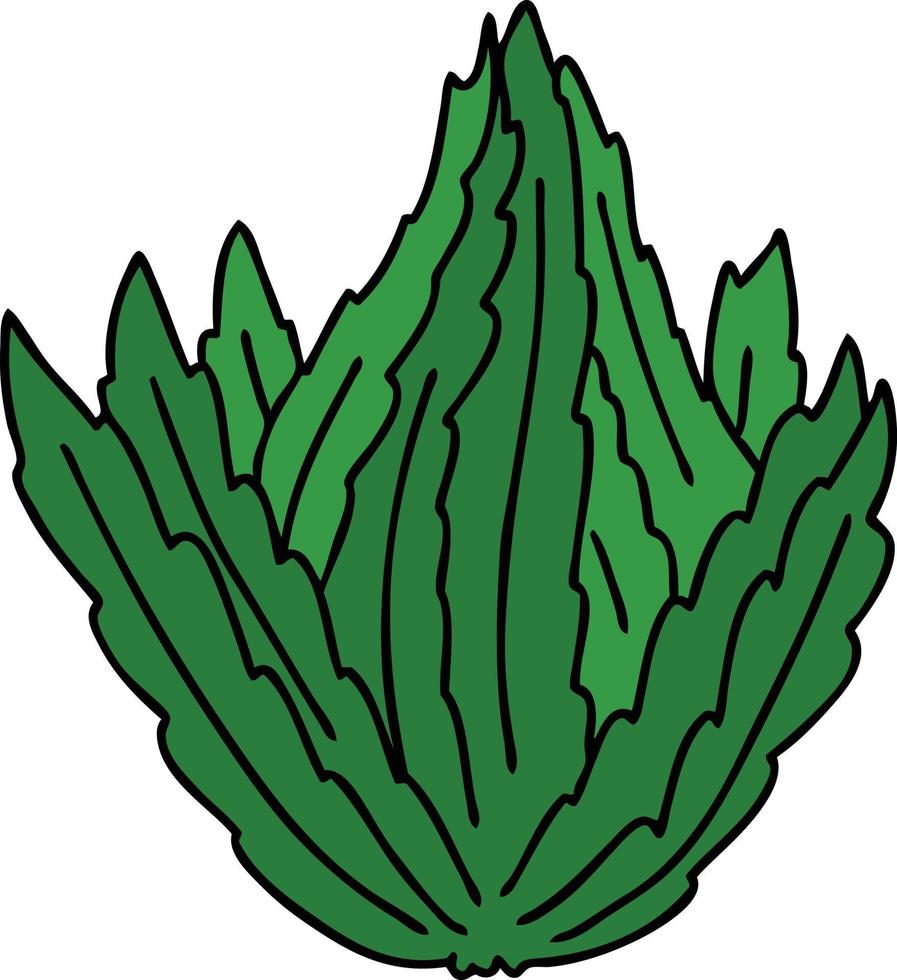 quirky hand drawn cartoon lettuce vector