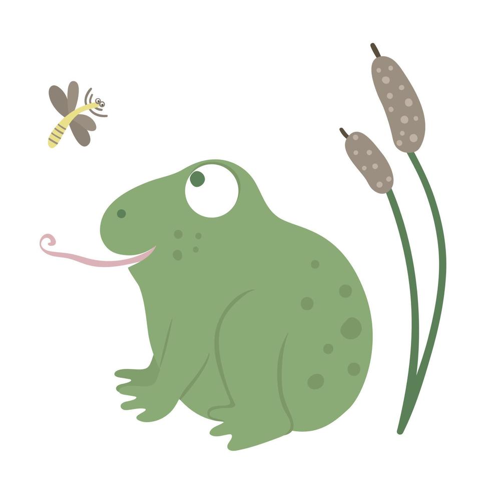 Rana divertida plana de estilo de dibujos animados vectoriales con juncos y mosquitos aislados en fondo blanco. linda ilustración de un animal de pantano del bosque. icono de anfibio sentado vector