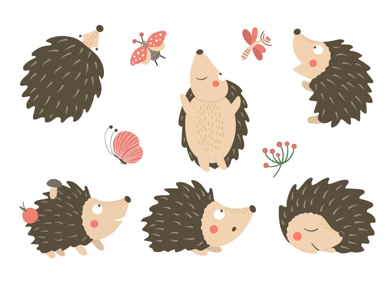 conjunto vectorial de erizos divertidos planos de estilo de dibujos animados en diferentes poses con libélula, mariposa, imágenes prediseñadas de mariquita. linda ilustración de animales del bosque vector