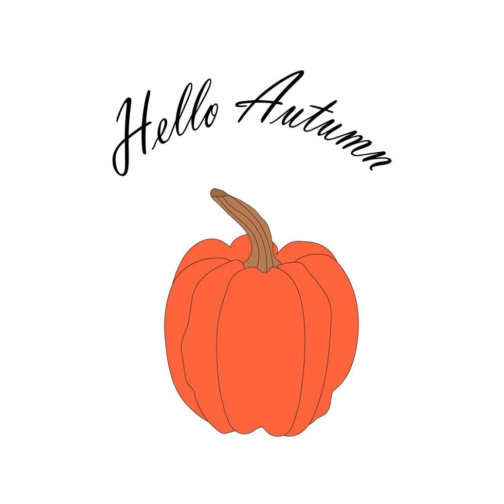 orange pumpkin illustration, lettering hello autumn. autumn harvest illustration vector
