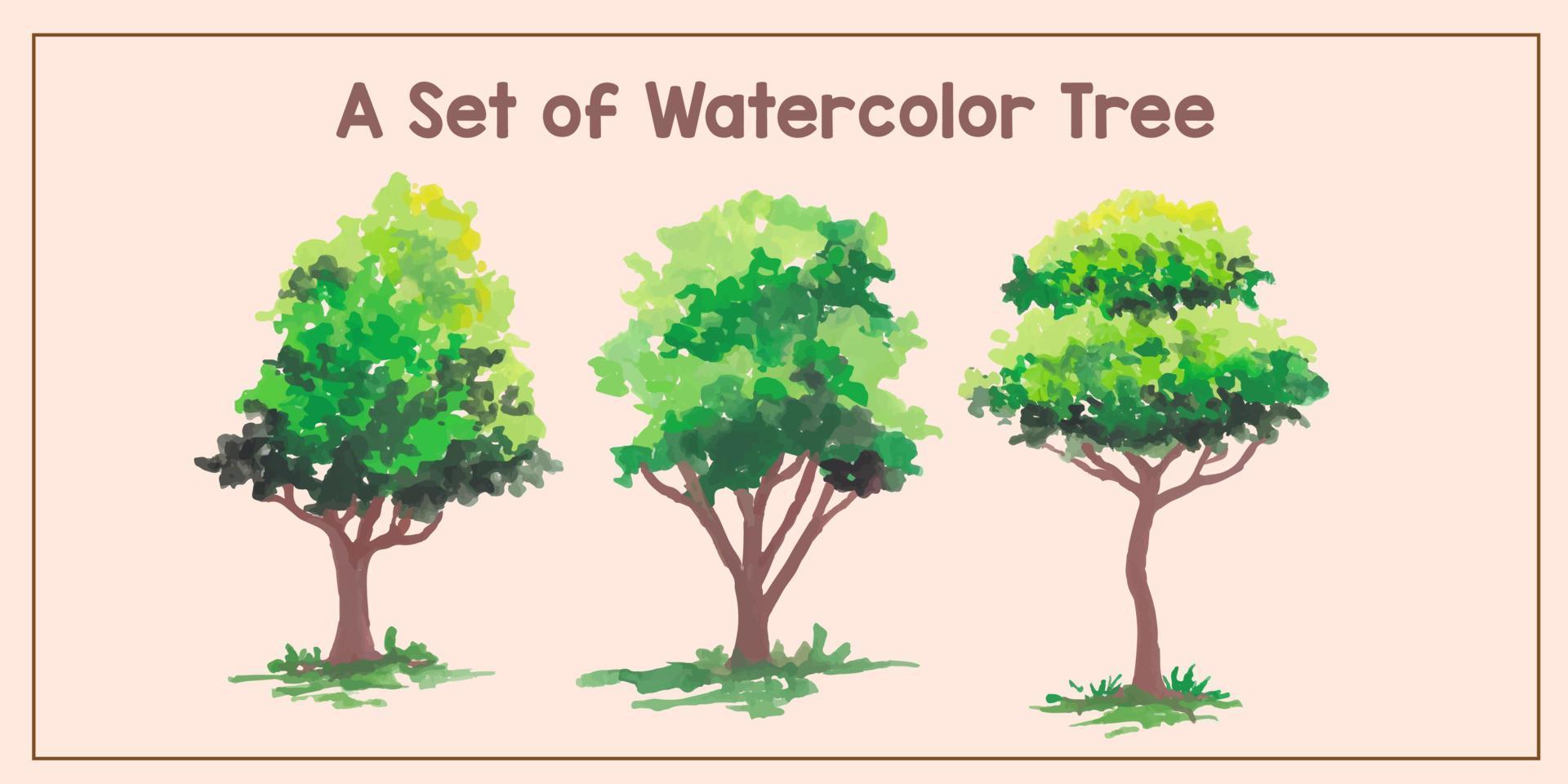 a set of watercolor tree illustration vector