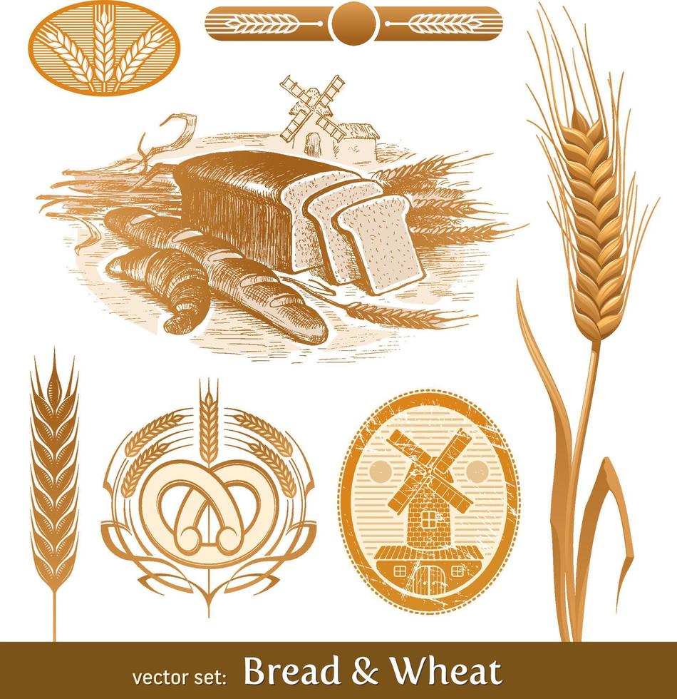 Vector set - bread and wheat