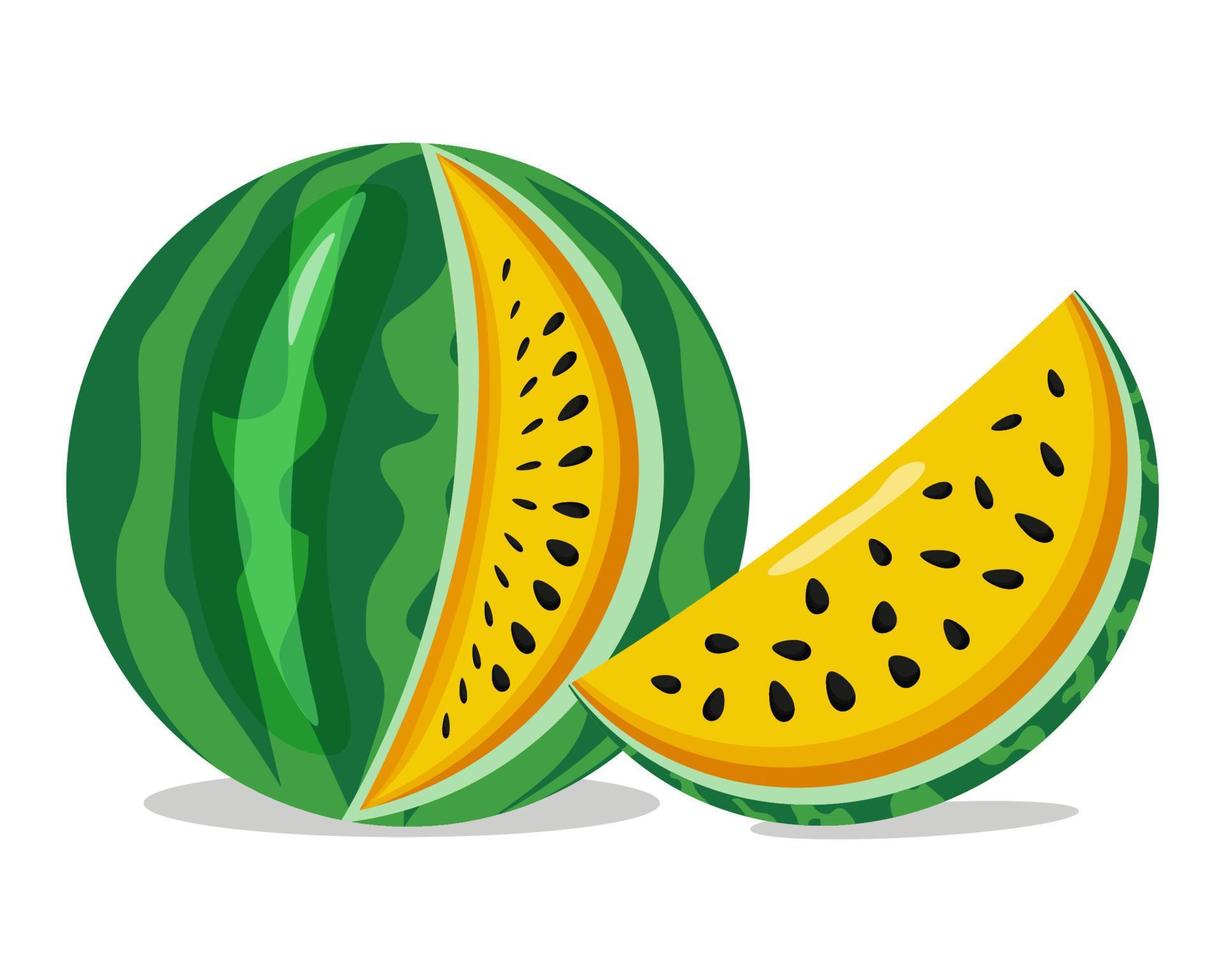 watermelon, slice of watermelon. watermelon day. national watermelon day. yellow watermelon on white background vector