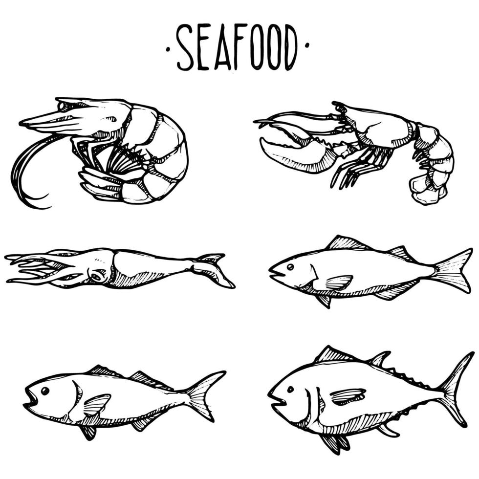 Vector vintage seafood restaurant illustration. Hand drew banner. Great for many, banner, flyer, card, seafood business promote.