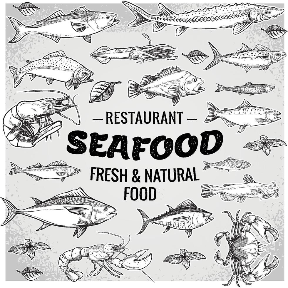 Seafood vector fish template. hand drawn illustration.