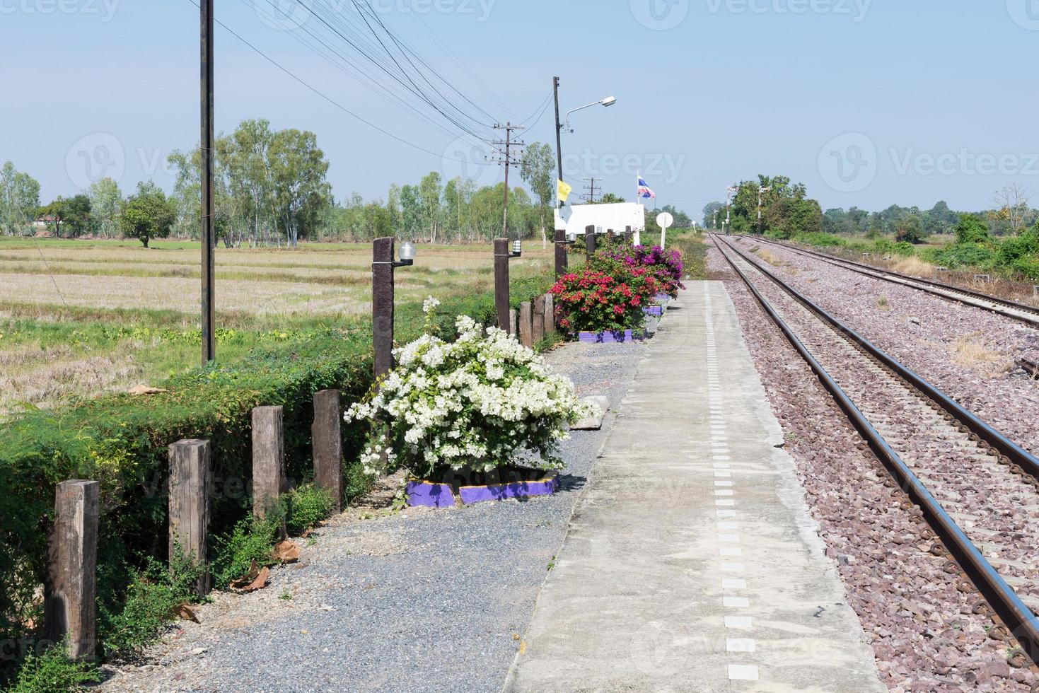 Small platform with the flower pot. photo
