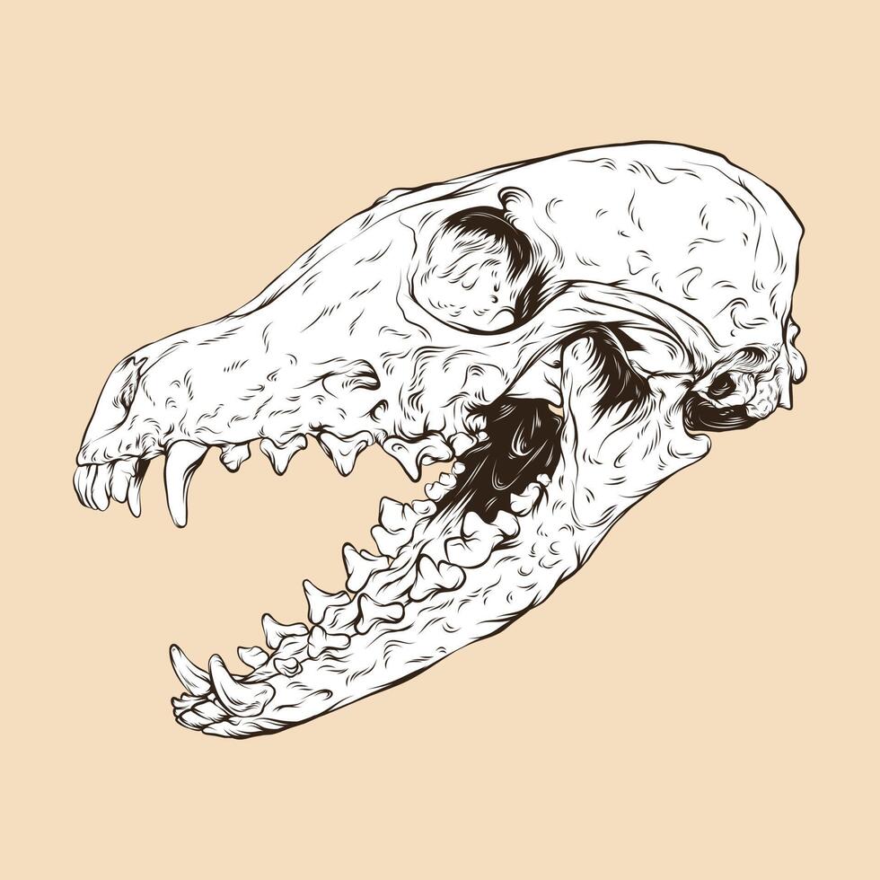 red fox skull head vector