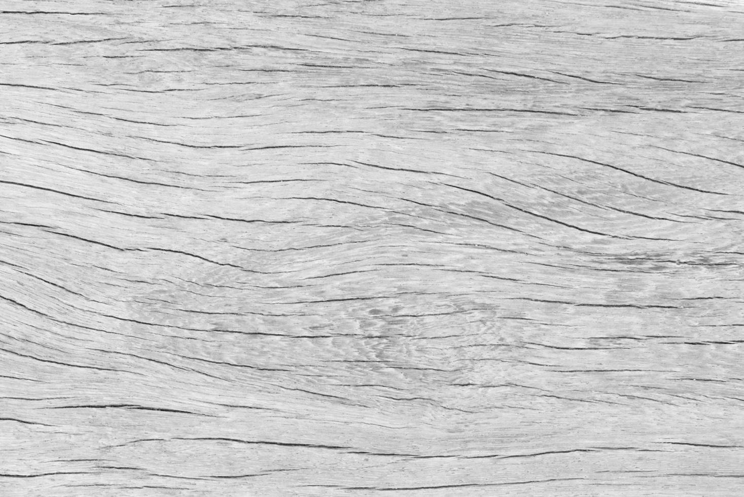 Old wood texture crack, gray-white tone. Use this for wallpaper or background image. There is a blank space for text. photo