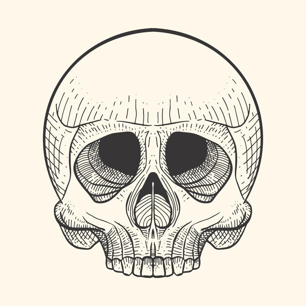 Skull in retro vintage, engraving style design. skeleton sketch tattoo and tshirt design template. vector