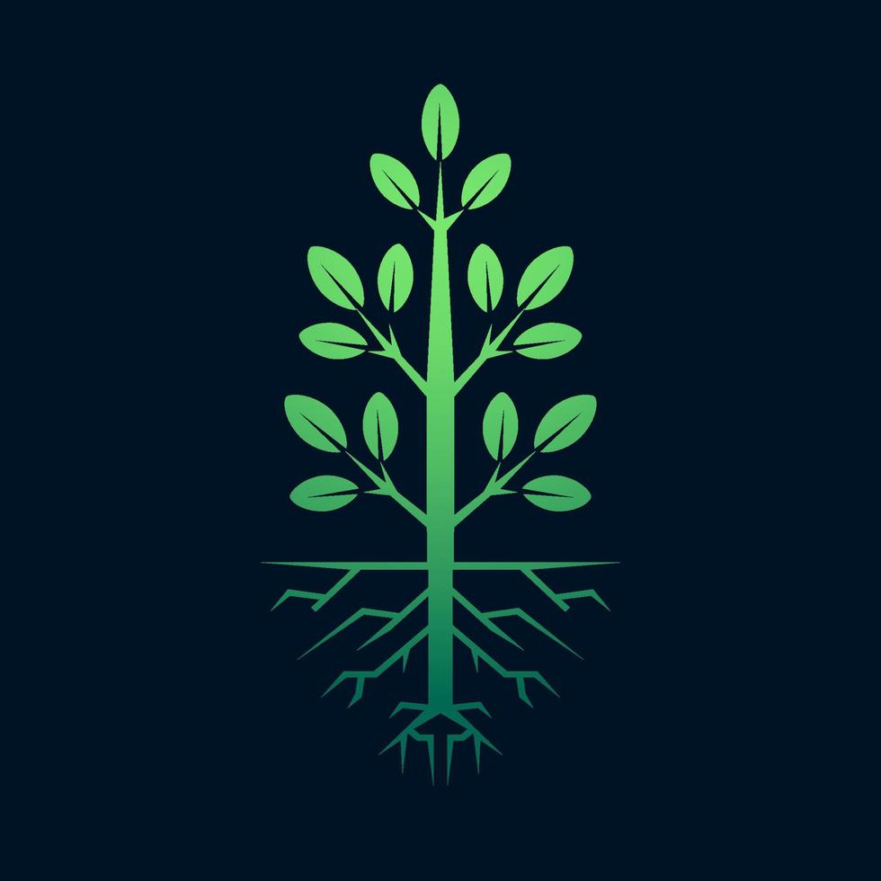 Tree icon concept of a stylized tree with leaves vector