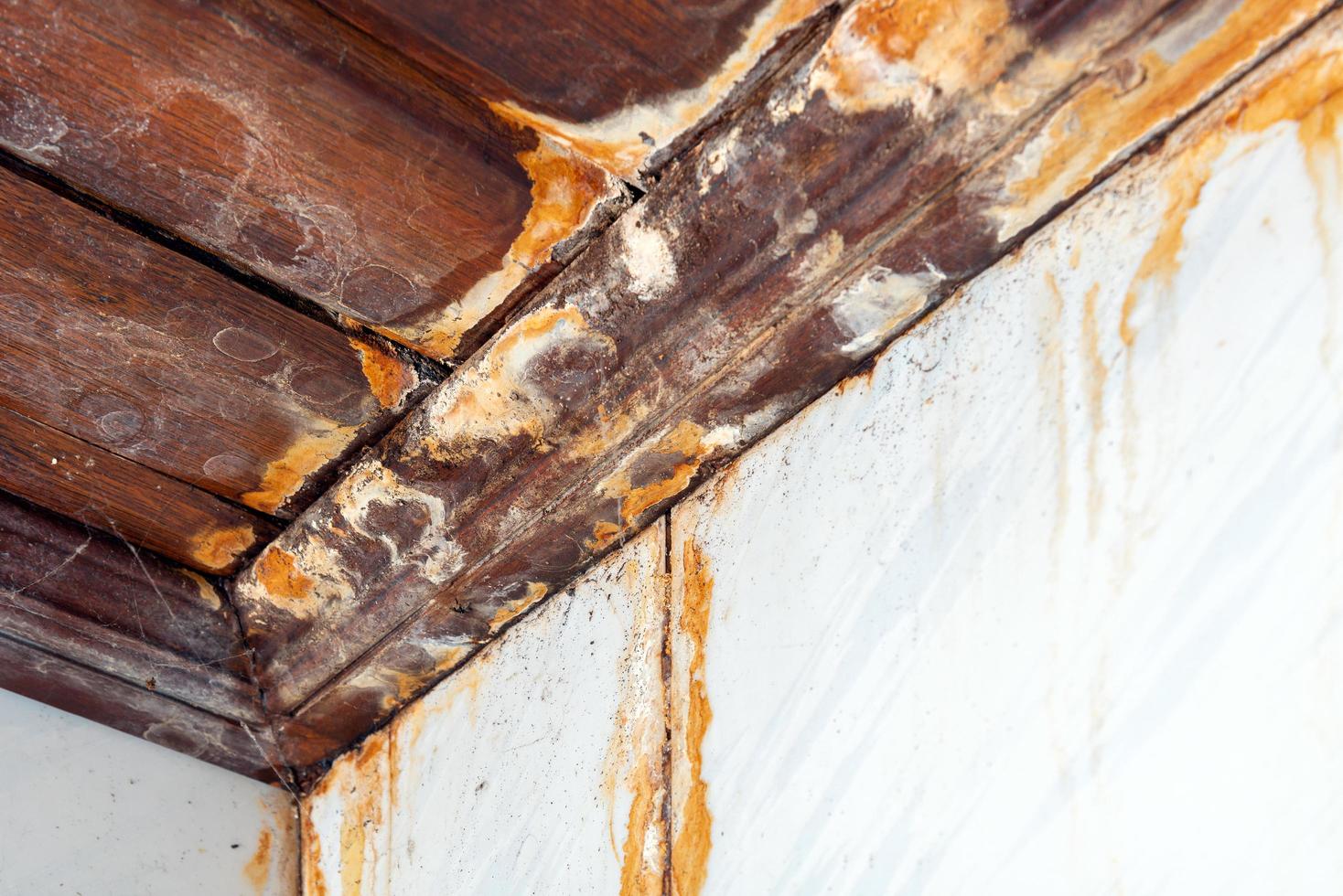 fugas de agua en el techo que causan daños y moho en la pared. concepto de renovación del hogar. foto