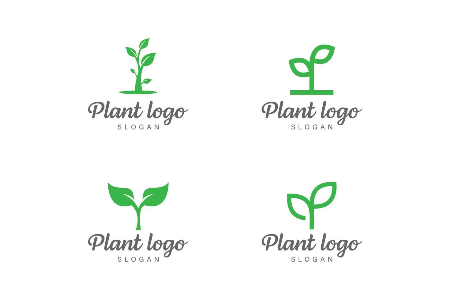 Plant logo collection vector