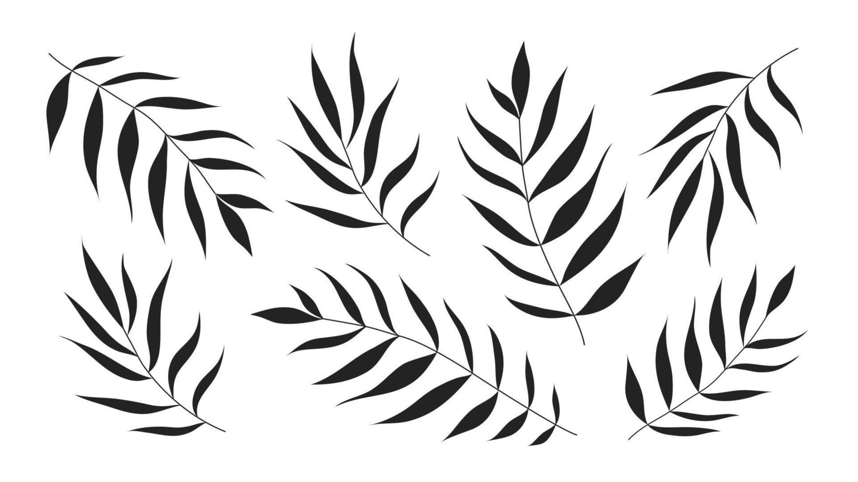 Black palm leaves isoted on white background. Black silhouette vector illustration.