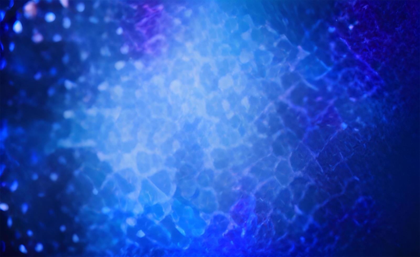 Abstract blue white grid pattern texture  background for graphic design fill with text photo