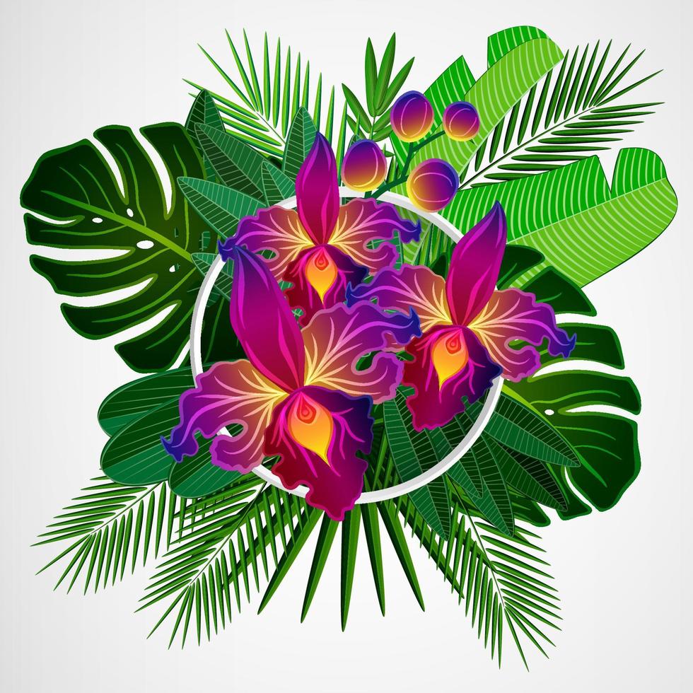 Tropical leaves with orchid flowers and white frame on isolate background. vector