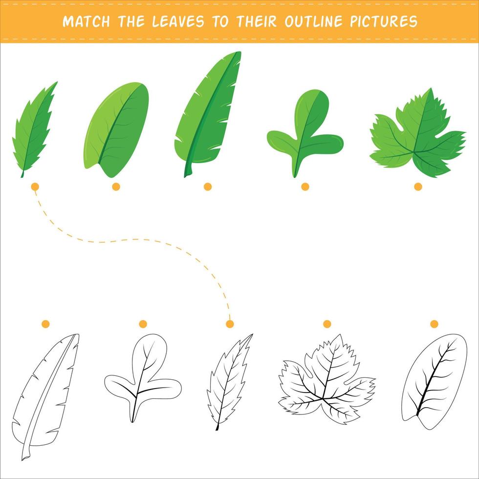 Match the leaves to their outline pictures. Logical thinking and intellectual development for children. vector