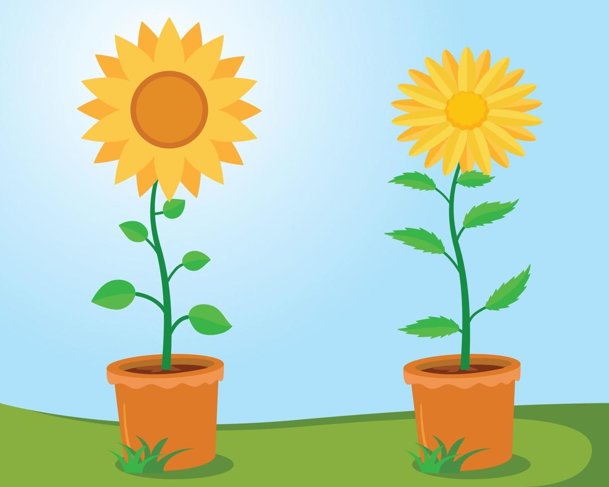 Sunflower and Marigold flower with leaves in clay pot vector