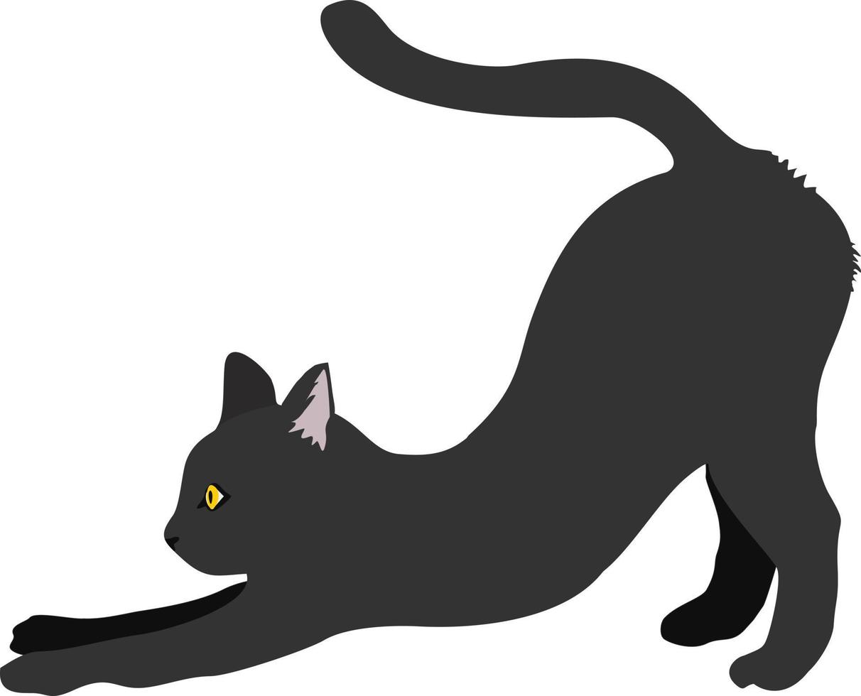 gato negro estirandose vector