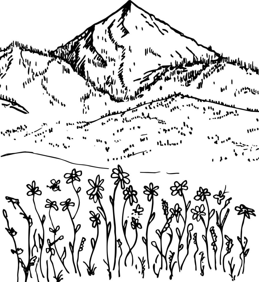 paisaje vectorial dibujado a mano con montañas, árboles y flores en el valle de la montaña. diseño de logotipo de icono de pico de montaña minimalista vector