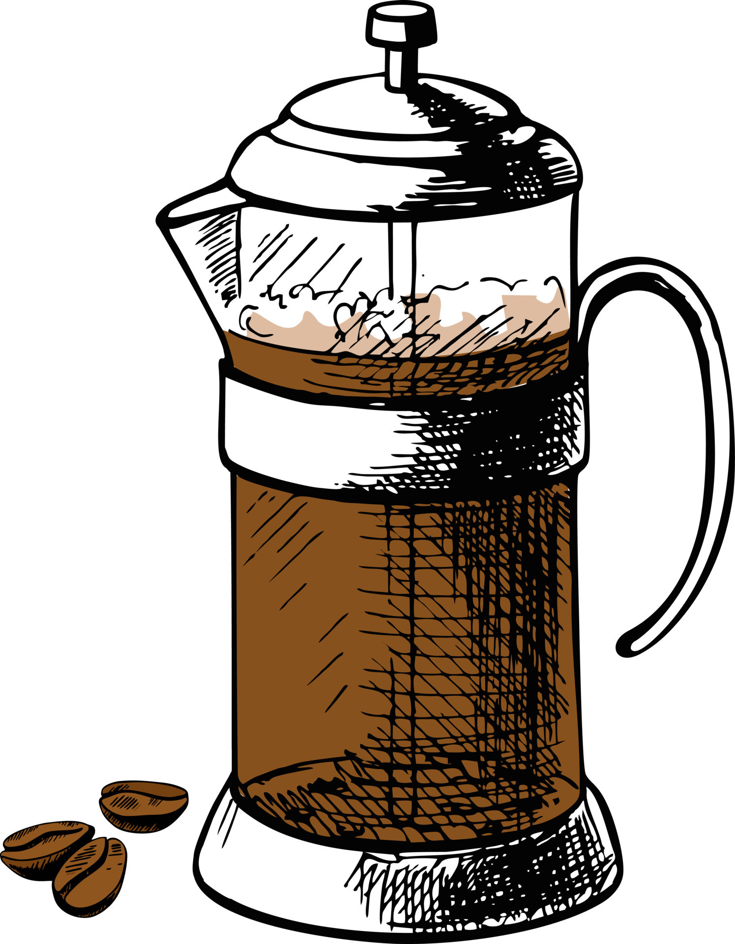 Vector illustration of french press hand drawn with pen and ink. French press coffee 10556422