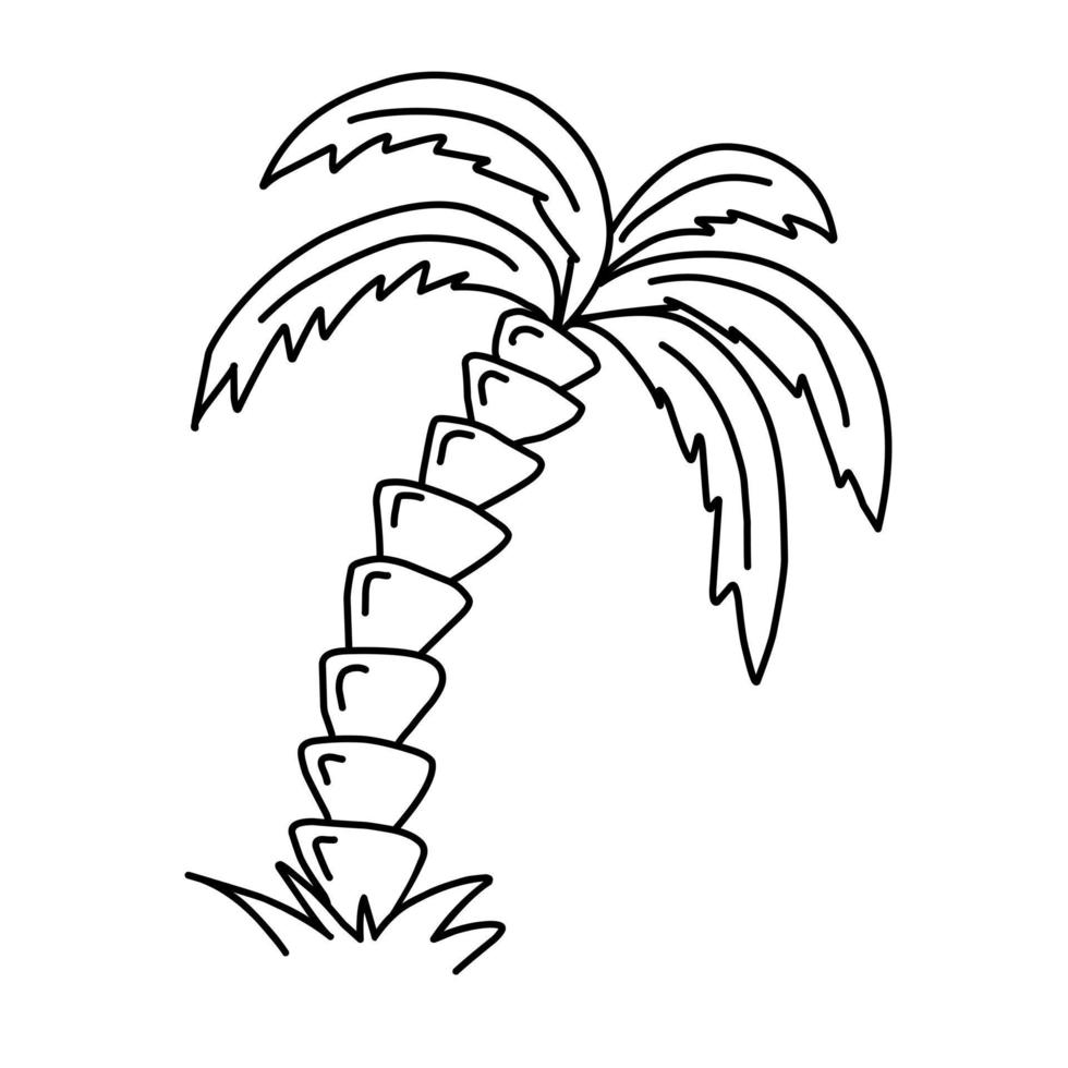 dibujo webdoodle de una palma de coco. el concepto de una palma de coco decorativa para la decoración de paredes, la impresión de carteles y la campaña de turismo de viajes. ilustración de diseño vectorial moderno vector