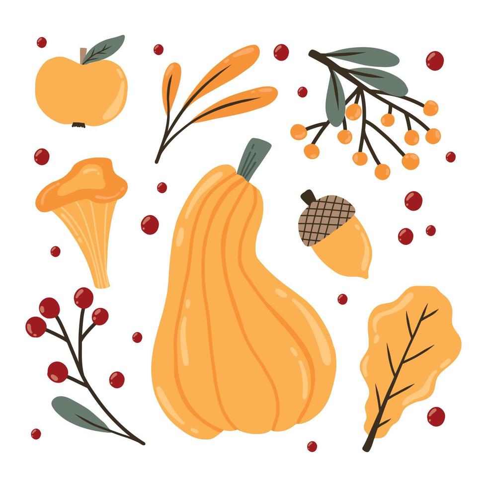 Autumn set. Autumn pumpkins, leaves, berries and mushrooms. Drawn style. Collection of autumn plants. Vector illustration.