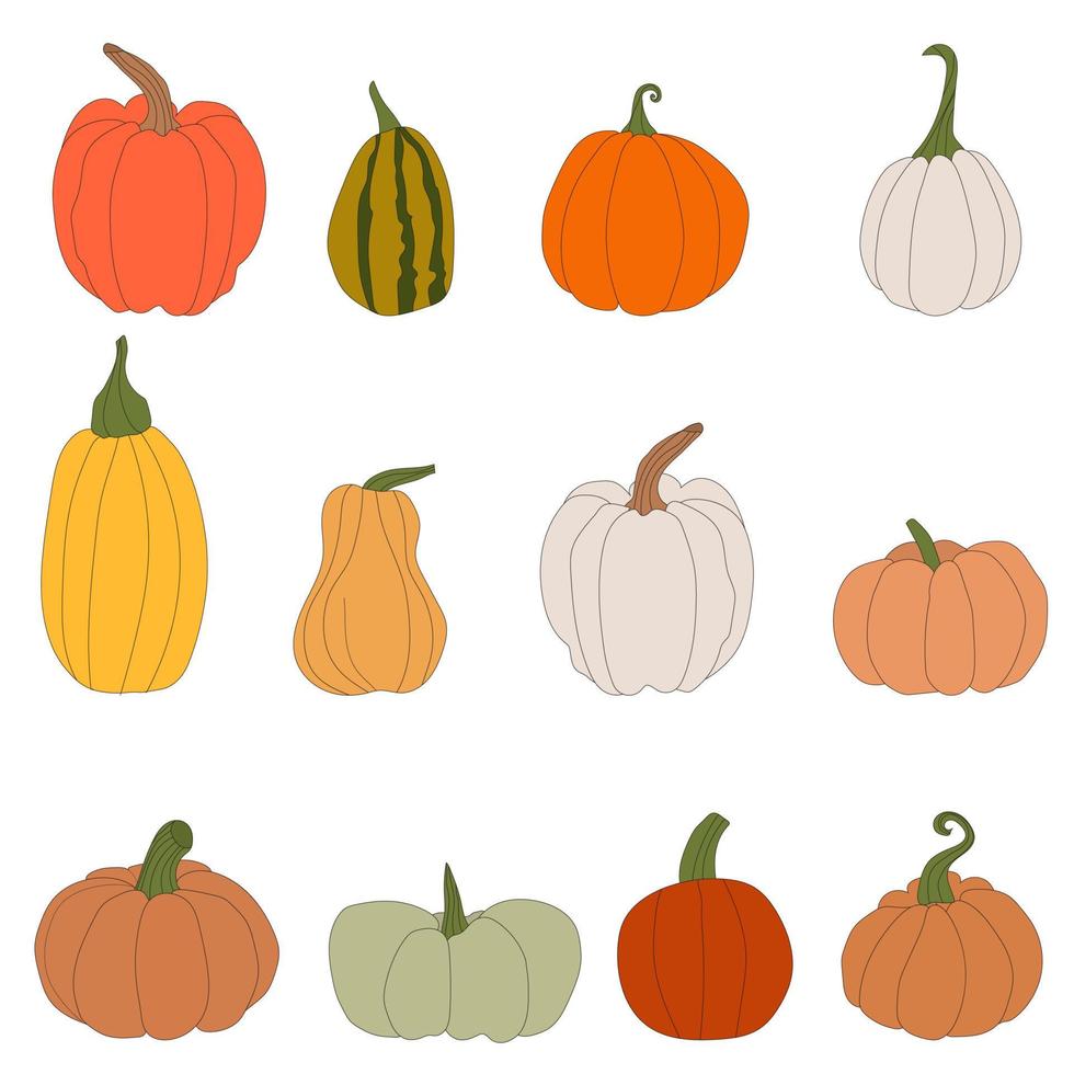 pumpkins, halloween, fall harvest gourds.  Autumn thanksgiving and halloween pumpkins collection vector