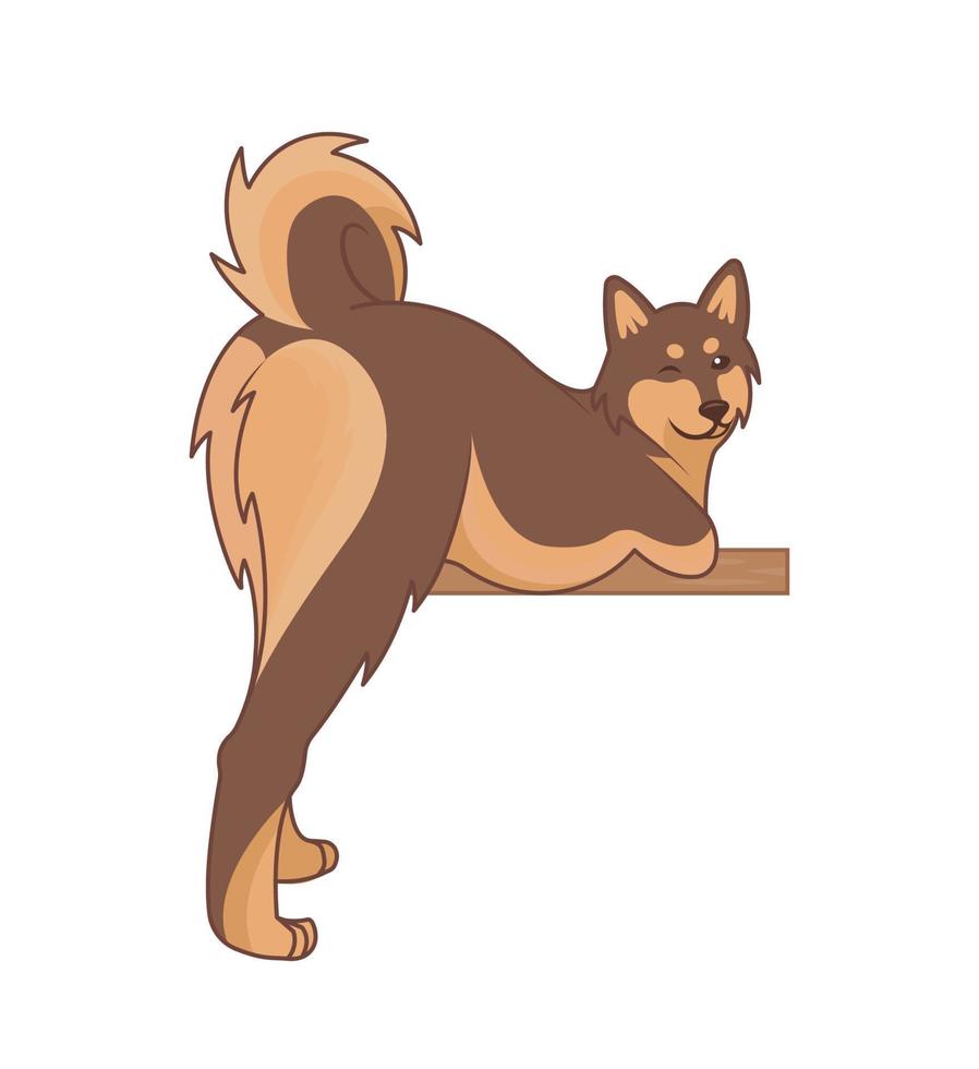 perro shiba inu vector