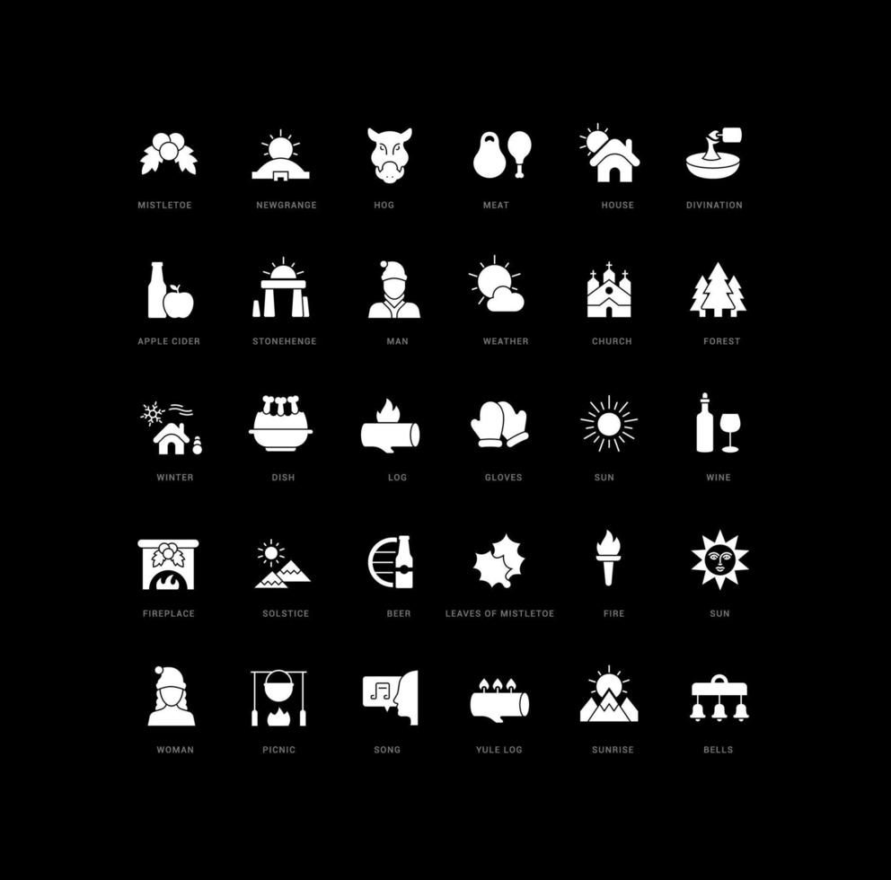 Set of simple icons of Winter Solstice vector