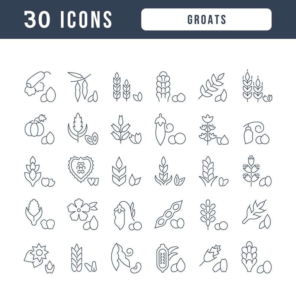 Set of linear icons of Groats vector