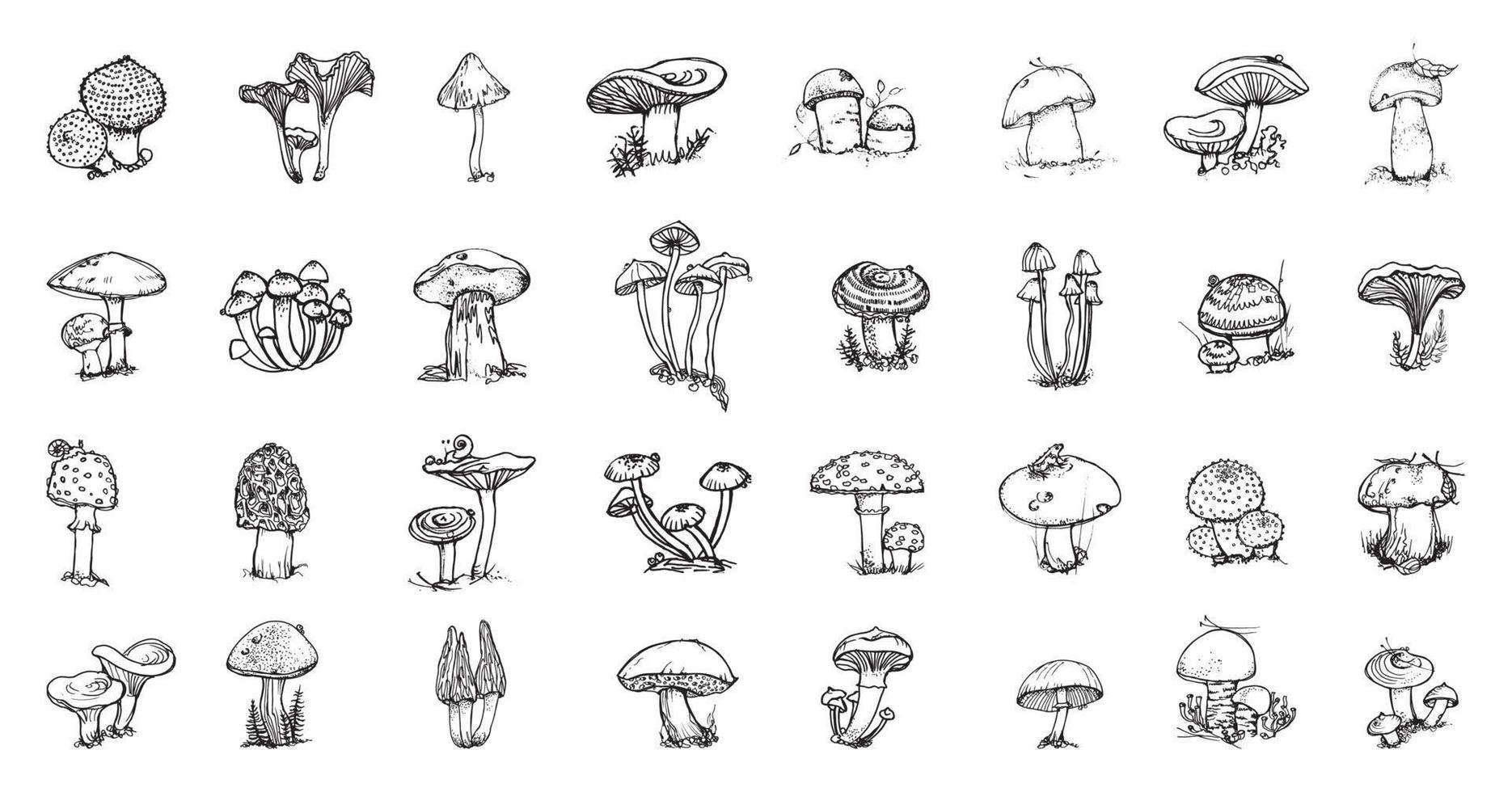 Mushroom Illustrations in Art Ink Style vector