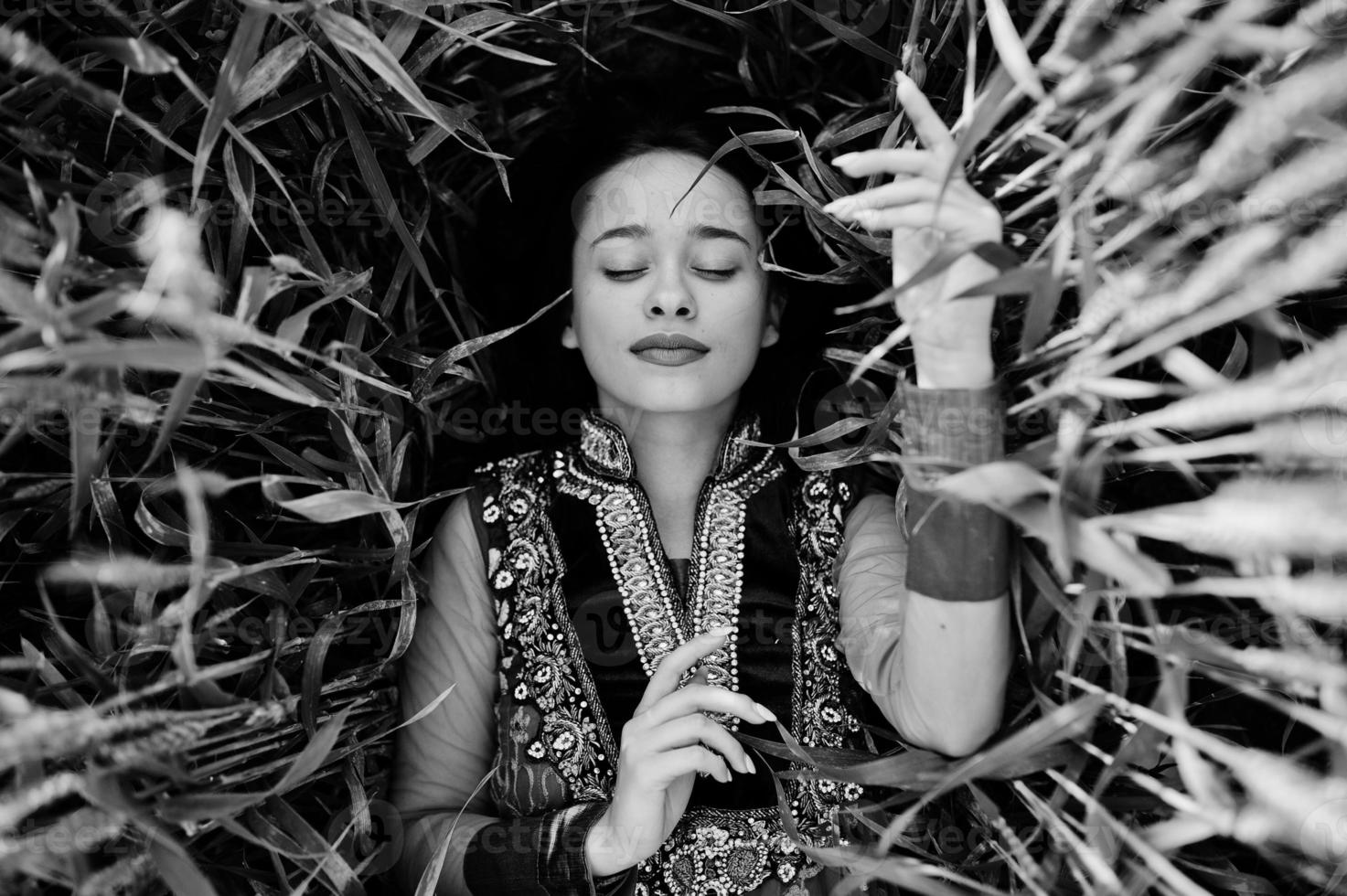 Tender indian girl in saree, with violet lips make up posed at field in sunset. Fashionable india model. photo