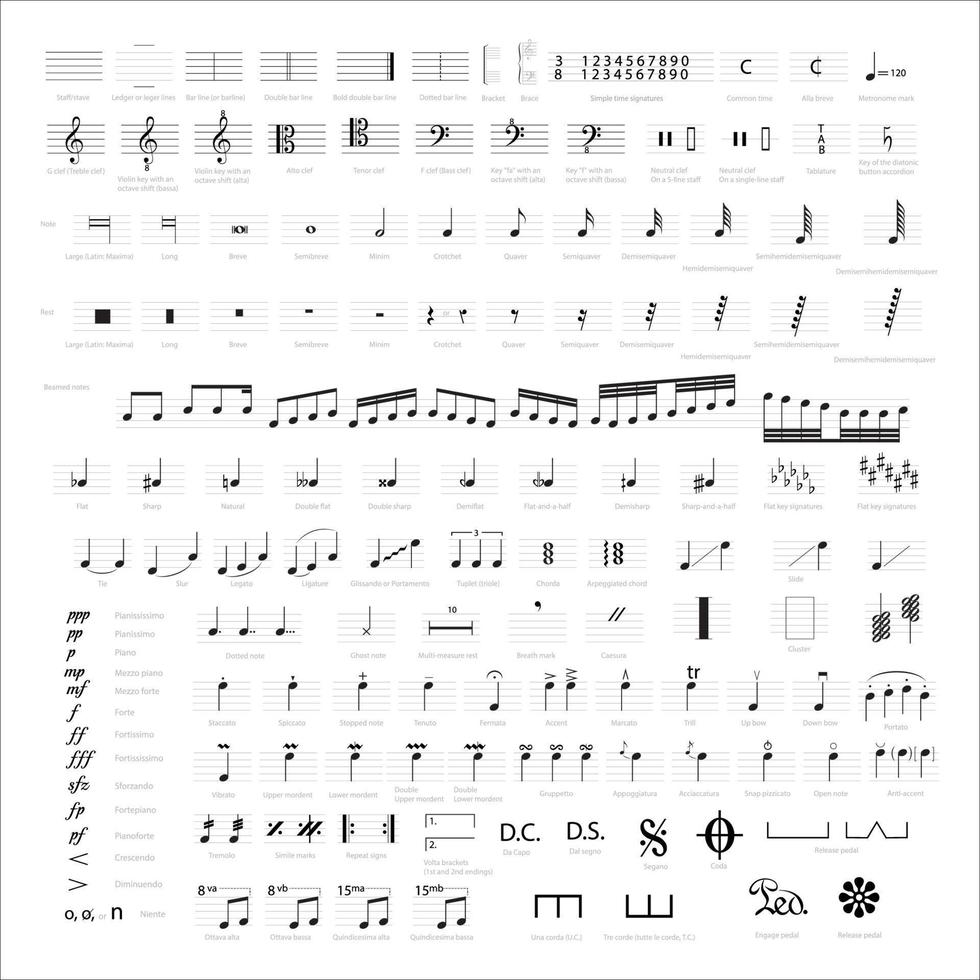 simbolos de notacion musical vector