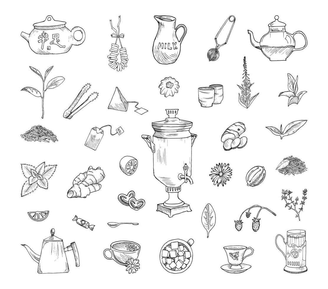 Tea Drinking Illustrations in Art Ink Style vector