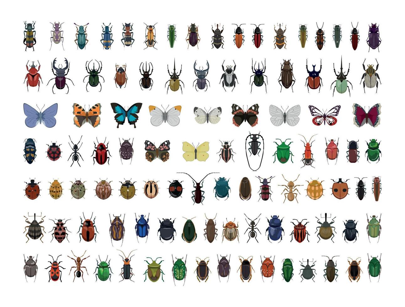 Set of Insects vector