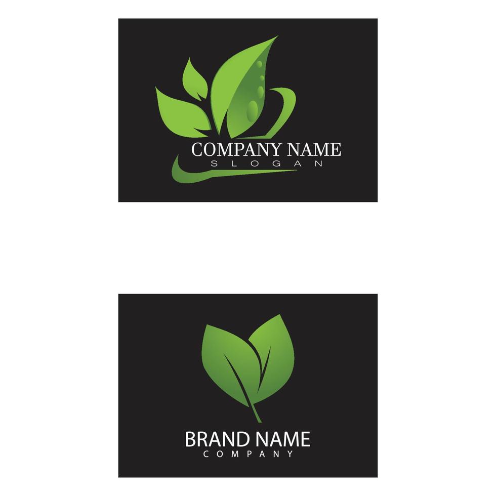 Logos of green leaf ecology nature element vector