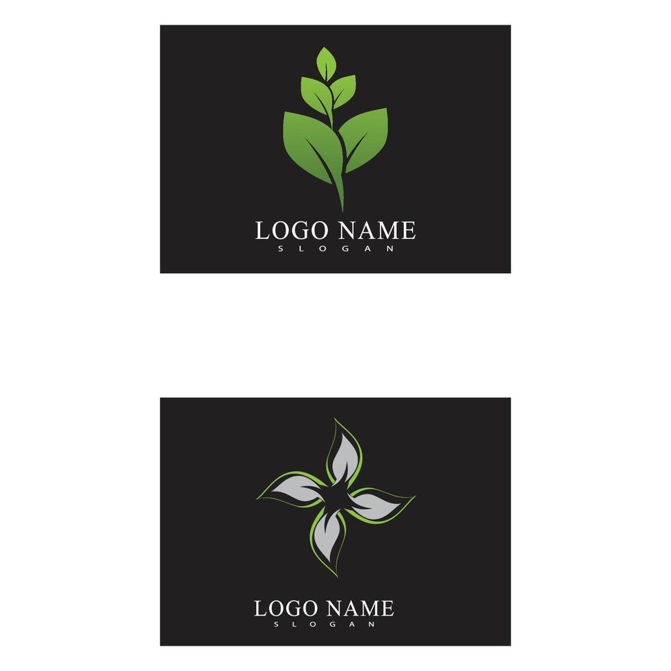 logotipos de vector de elemento de naturaleza ecología de hoja verde