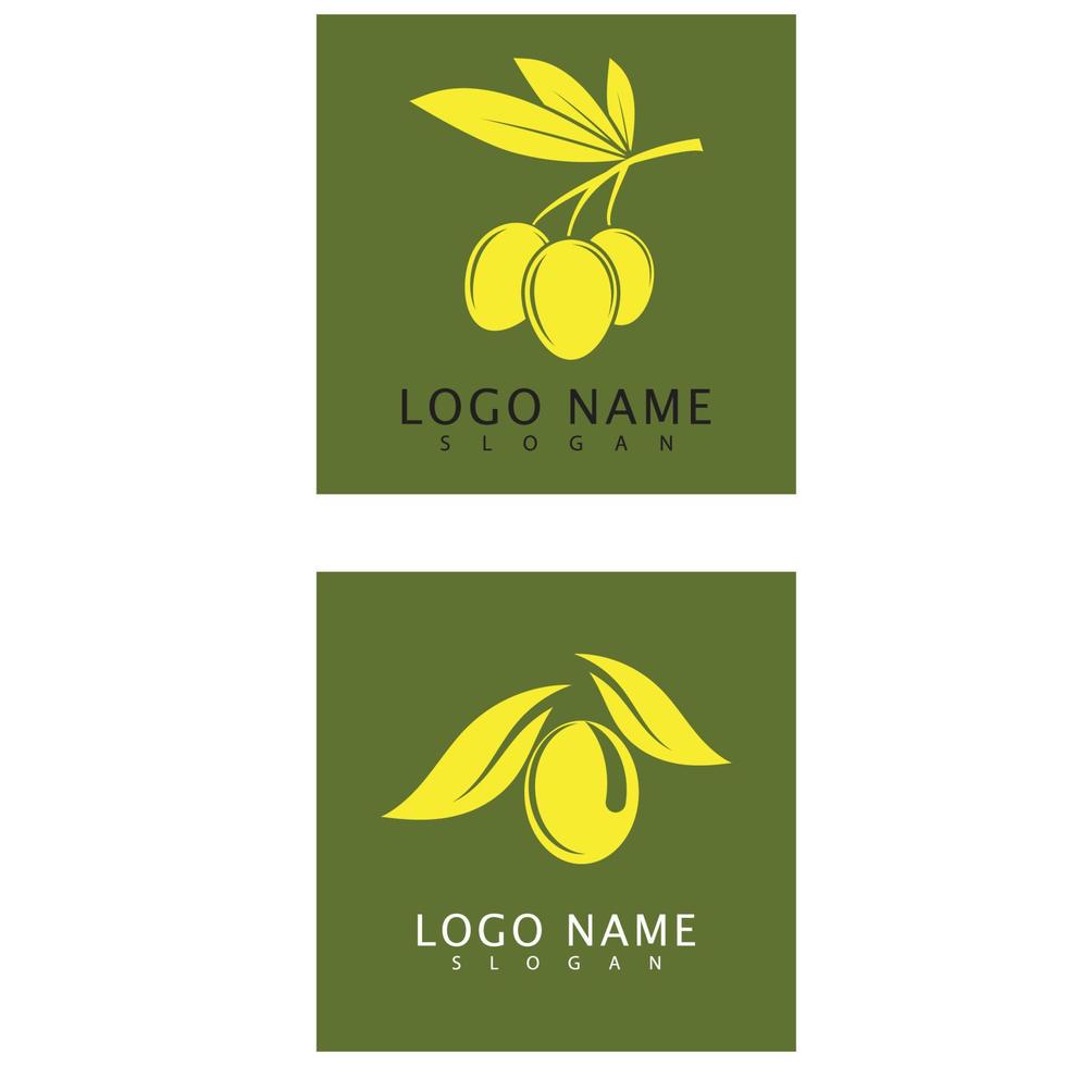 Olive tree vector illustration design template