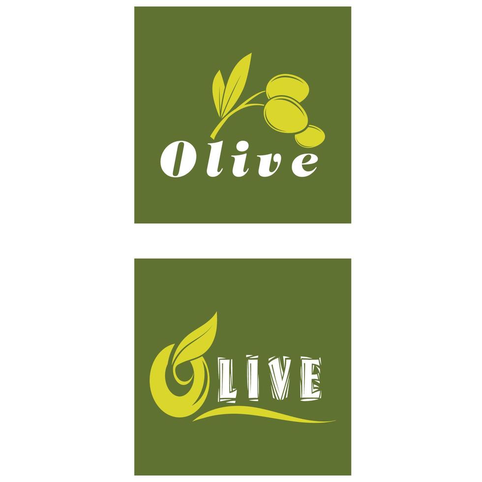 plantilla de diseño de ilustración de vector de olivo
