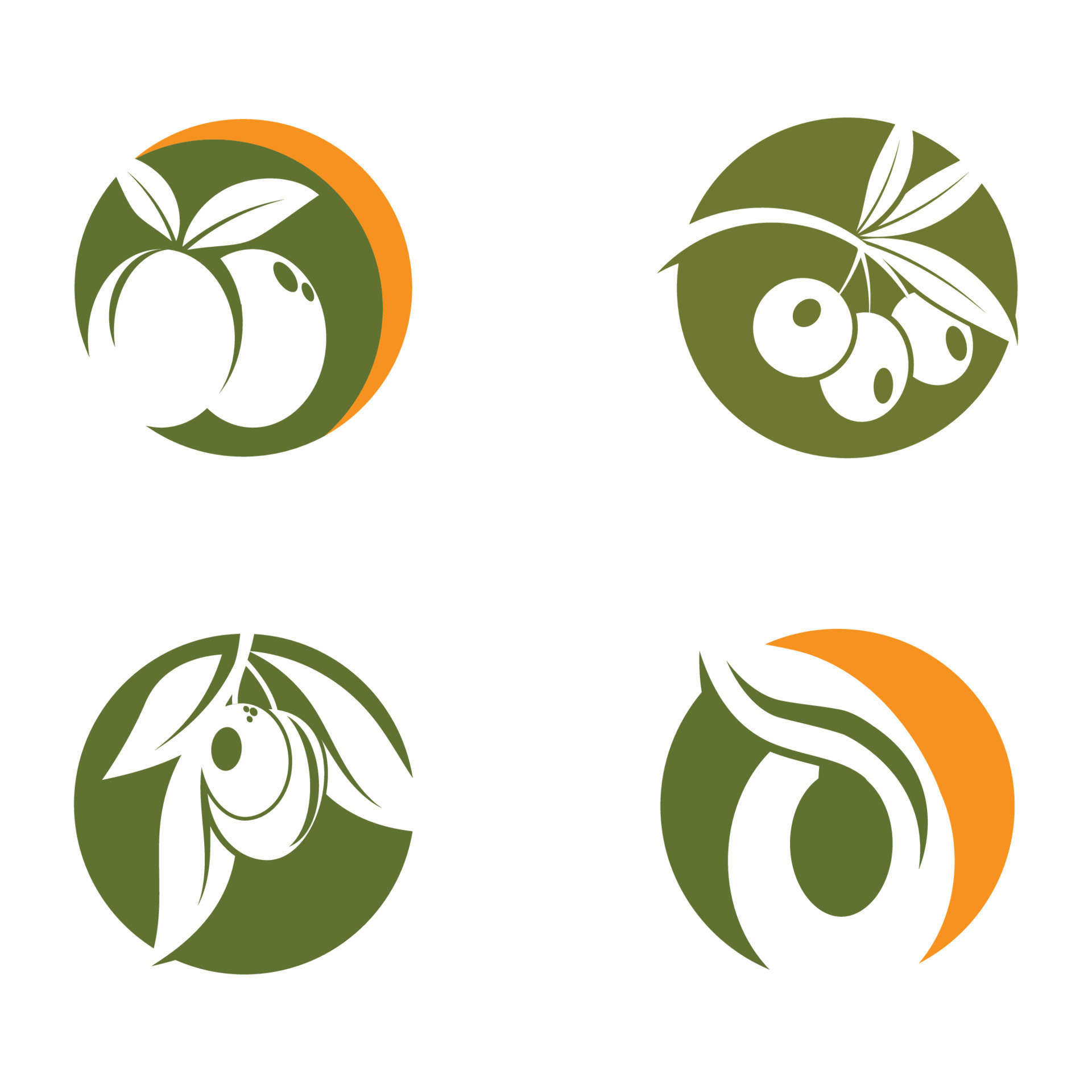 Olive tree vector illustration design template 10561209 Vector Art at