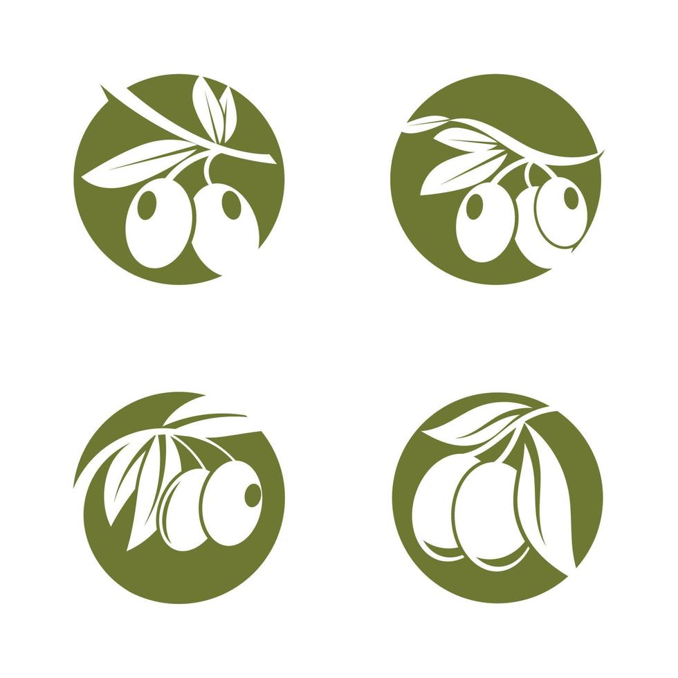 Olive tree vector illustration design template