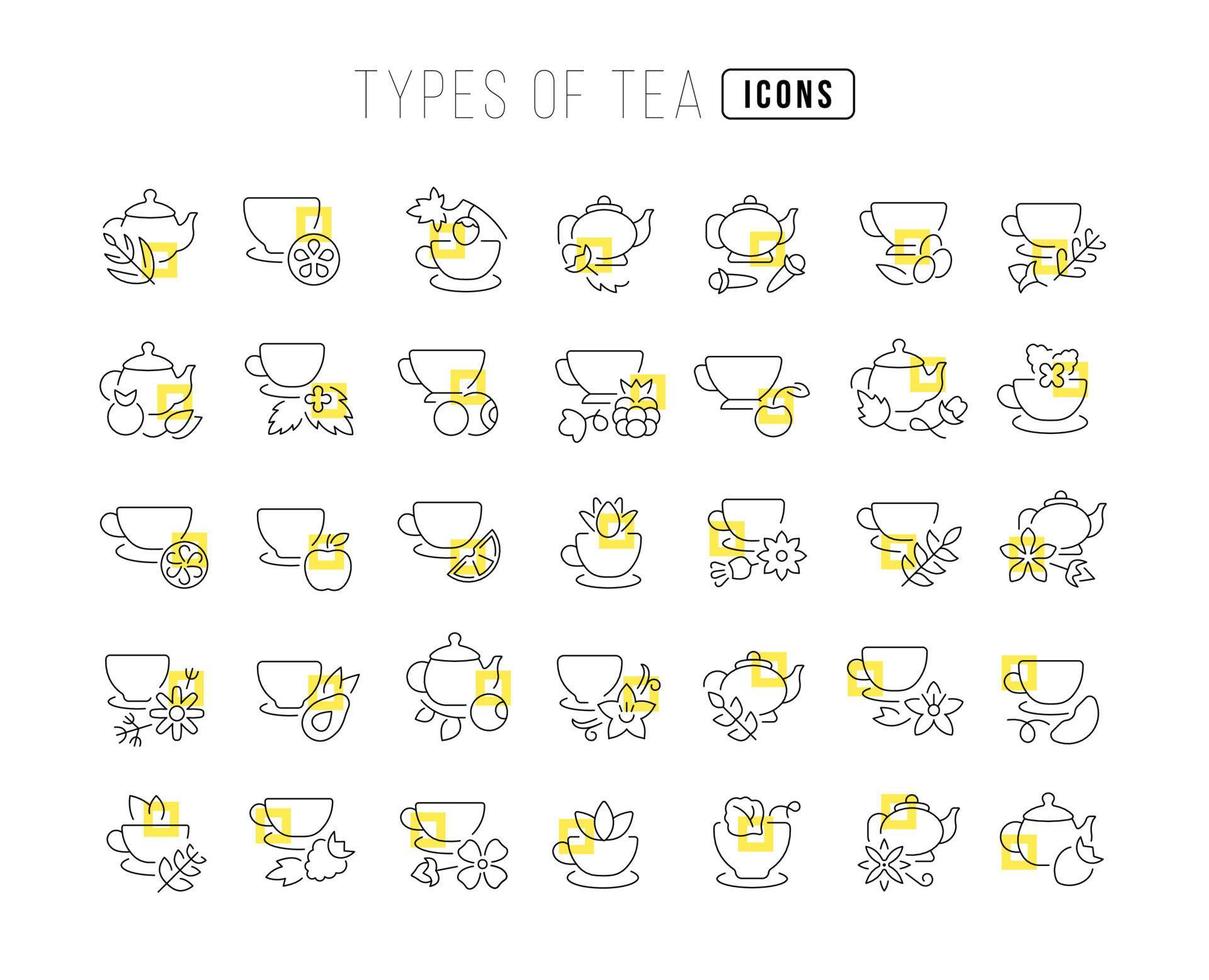Set of linear icons of Types of Tea vector