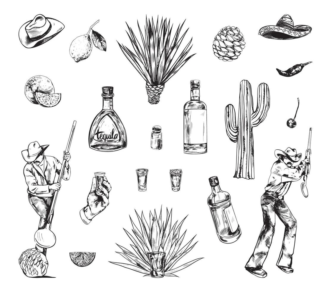 ilustraciones de producción de tequila en estilo art ink vector