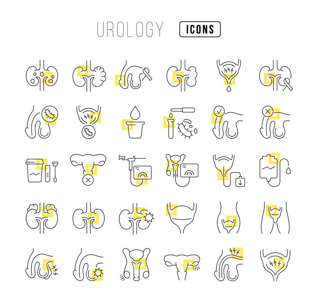 Set of linear icons of Urology vector