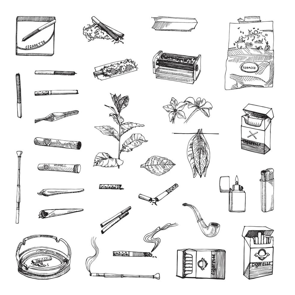 Tobacco Illustrations in Art Ink Style vector