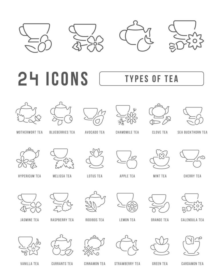 conjunto de iconos lineales de tipos de té vector