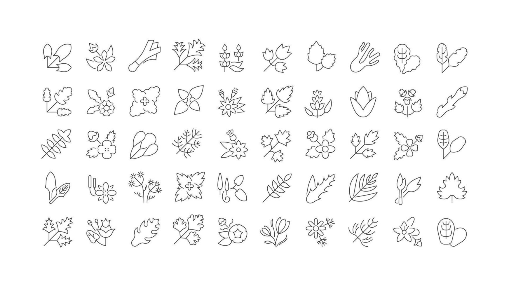 conjunto de iconos lineales de hierbas y condimentos vector