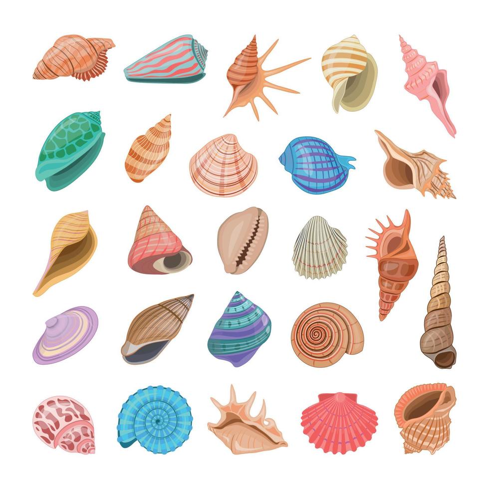 Set of Seashells vector