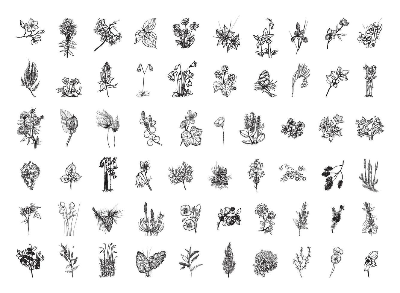 Nordic Plants Illustrations in Art Ink Style vector