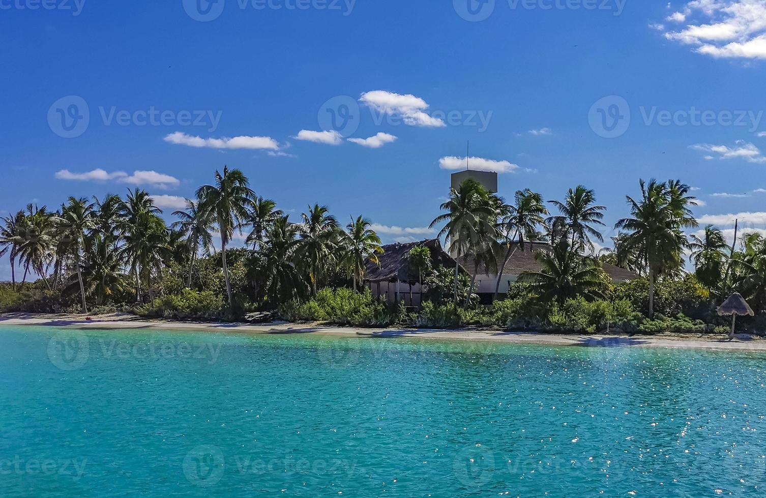 Beautiful tropical natural beach and forest panorama Contoy island Mexico. photo